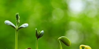 prayer-points-for-church-growth