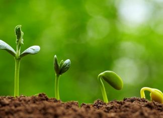 prayer-points-for-church-growth